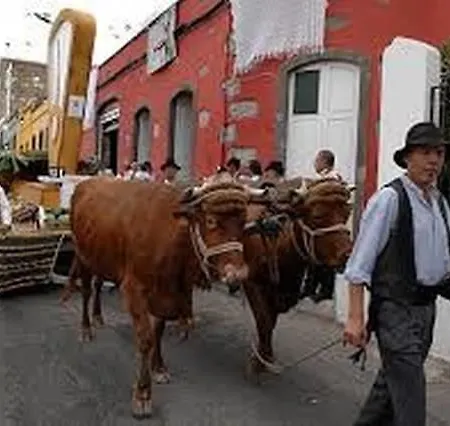 Apartment Loft Centro Historico *